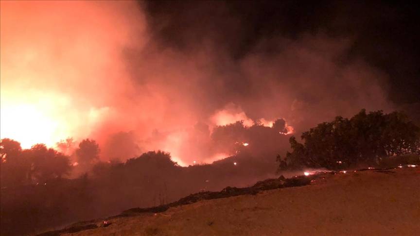 İzmir’in Menderes ilçesinde orman yangını! Alevler kontrol altına alınmaya çalışılıyor 5